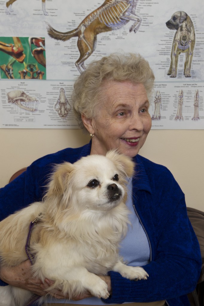 New Clients Cornerstone Vet Hospital