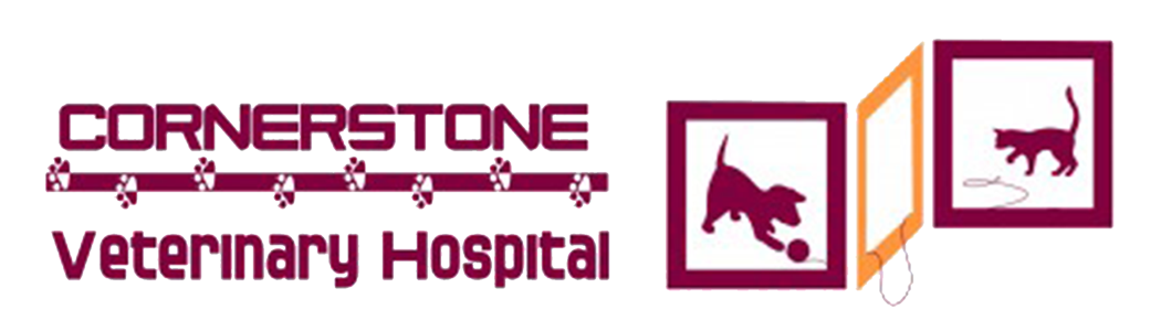 Cornerstone Vet Hospital